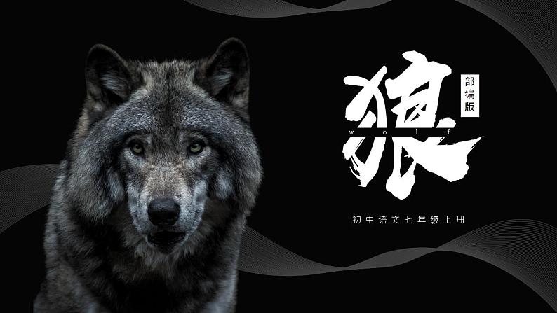 初中语文部编版七年级上册-狼 课件+教案01