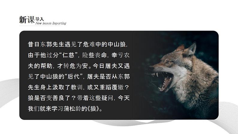初中语文部编版七年级上册-狼 课件+教案03