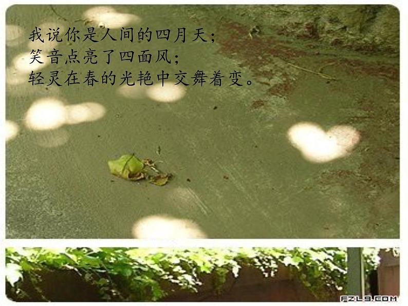 部编版九年级语文上册--5你是人间的四月天——一句爱的赞颂（精品课件）第3页