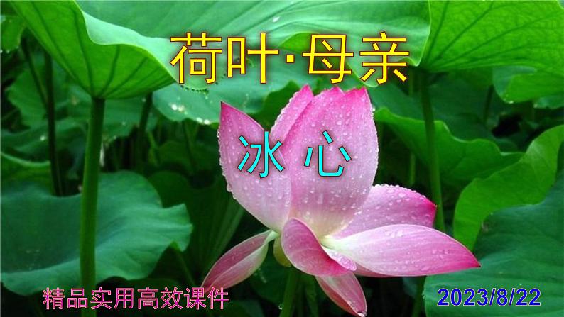 七上语文第7课《荷叶·母亲》精品实用高效课件01