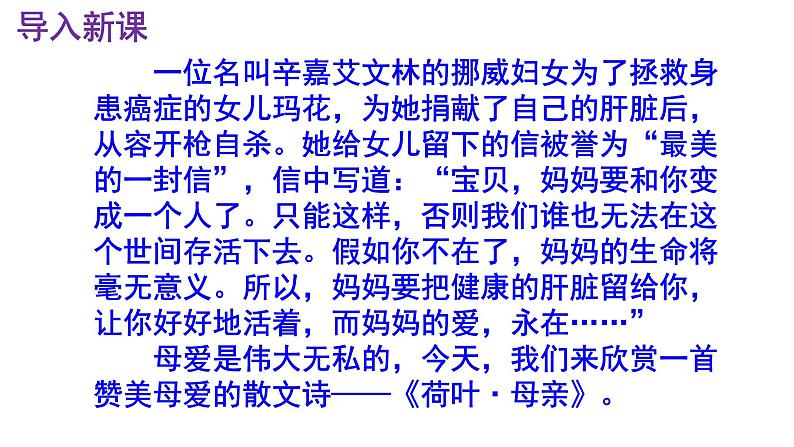 七上语文第7课《荷叶·母亲》精品实用高效课件02