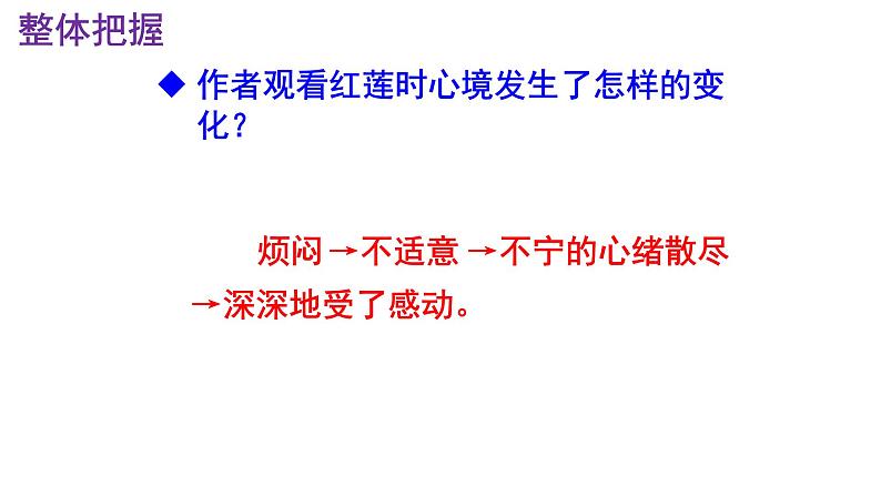 七上语文第7课《荷叶·母亲》精品实用高效课件06
