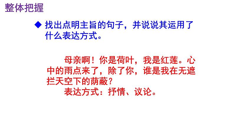 七上语文第7课《荷叶·母亲》精品实用高效课件08