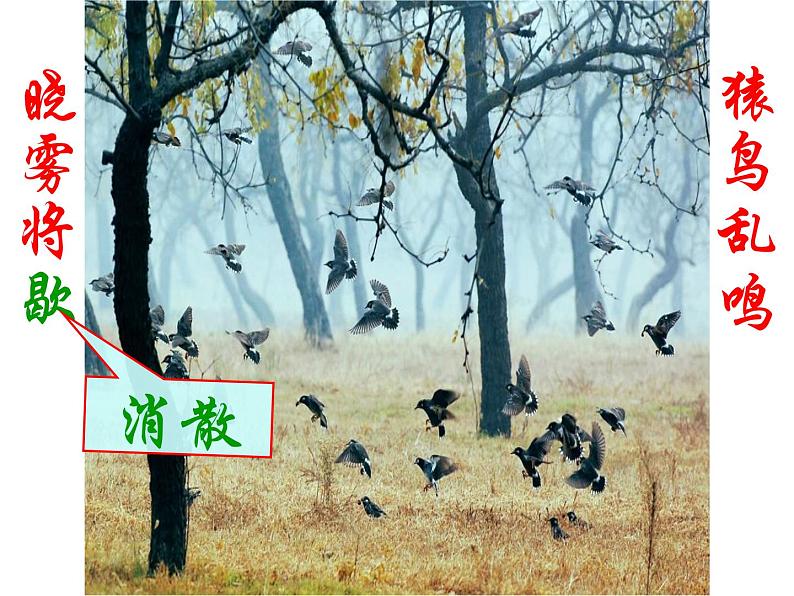 部编版八年级语文上册--11短文二篇（答谢中书书+记承天寺夜游）（精品课件）07