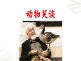 【核心素养】部编版初中语文七年级上册第17课《动物笑谈》课件