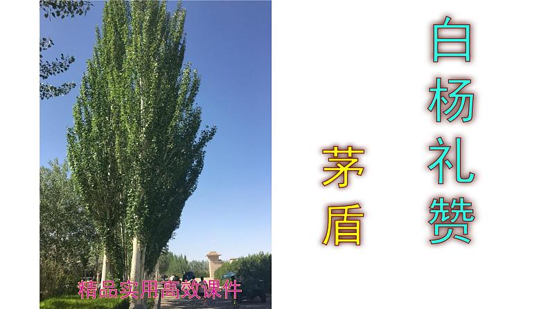 八上语文第15课《白杨礼赞》精品实用高效课件01