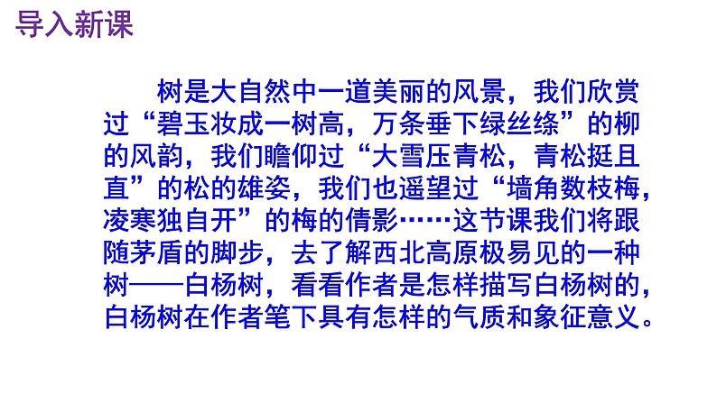 八上语文第15课《白杨礼赞》精品实用高效课件02