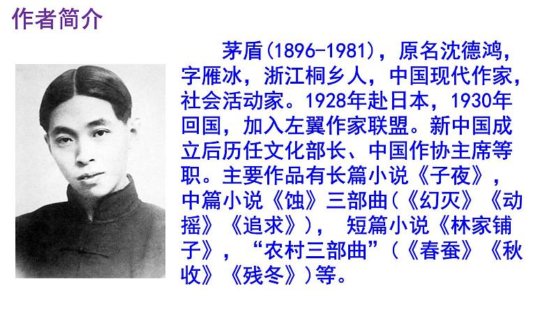 八上语文第15课《白杨礼赞》精品实用高效课件03