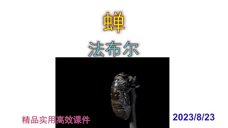 八上语文第21课《蝉》精品实用高效课件第1页