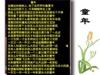语文八年级下册社戏教课ppt课件