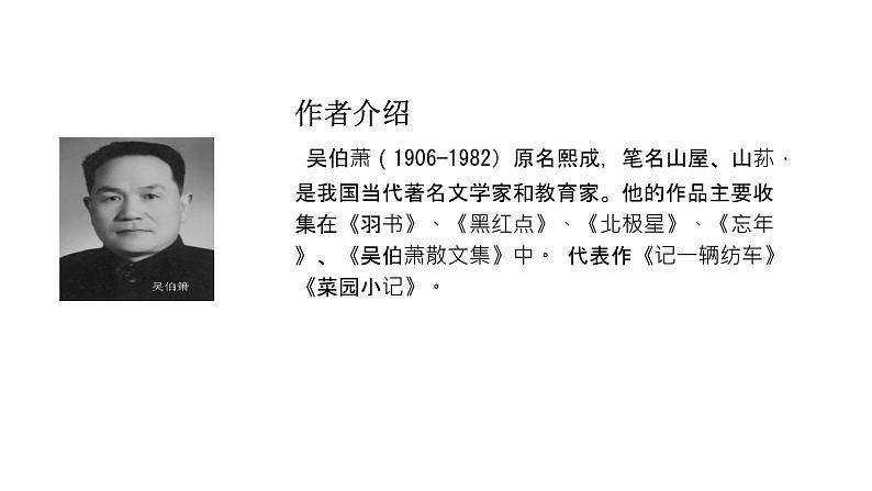 部编本八年级下册《灯笼》课件第8页