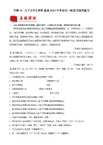 中考语文一轮复习通关练习专题18：九下文言文阅读（含解析）