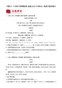 中考语文一轮复习通关练习专题23：八年级下册诗歌鉴赏（含解析）