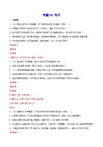 中考语文一轮复习考点精炼专题04 句子(考点训练)(含解析)