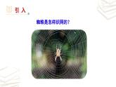 【核心素养】部编版初中语文七年级上册第5单元写作《如何突出中心》课件