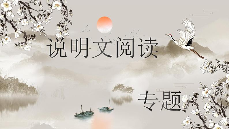 中考语文一轮复习《说明文专题复习》课件01