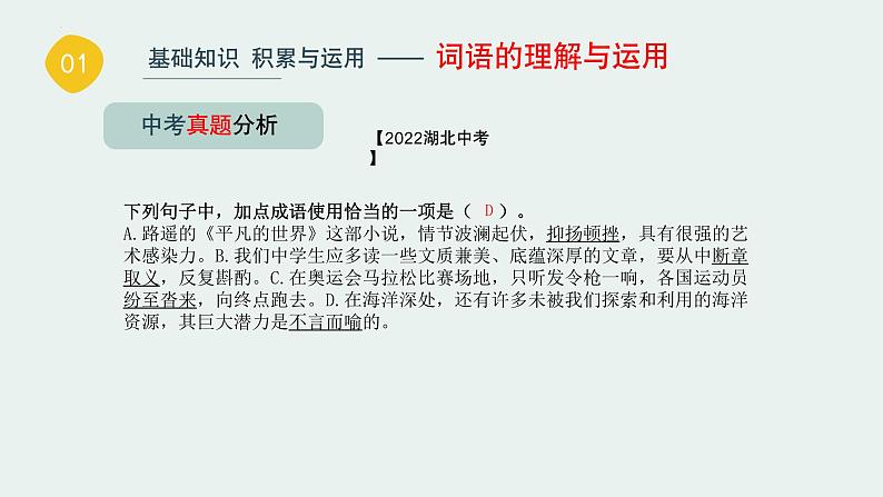 基础知识积累与运用【词语的理解与运用】 -中考语文一轮复习课件PPT第7页