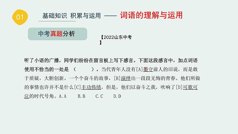 基础知识积累与运用【词语的理解与运用】 -中考语文一轮复习课件PPT第8页
