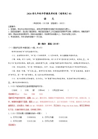 【开学摸底考】部编版语文九年级上学期--秋季开学摸底考试卷03（全国通用）