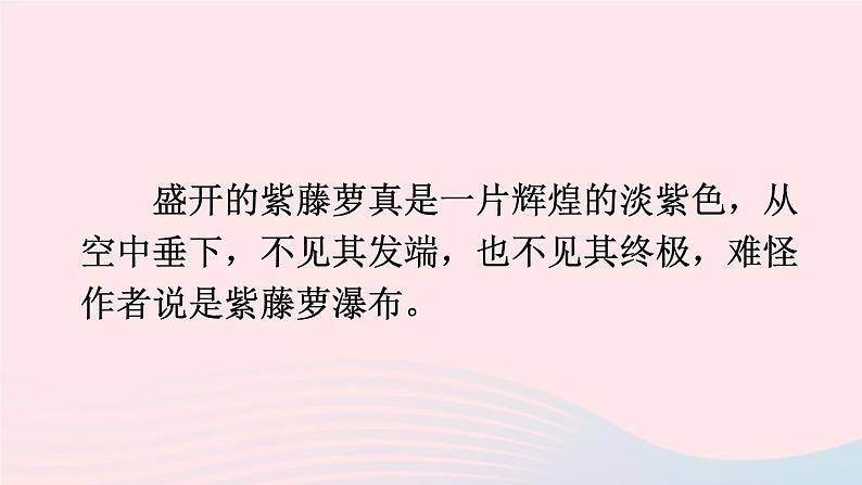 部编七年级语文下册第五单元18紫藤萝瀑布配套课件第3页