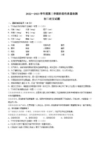山东省菏泽市鄄城县2022-2023学年八年级下学期期中语文试题