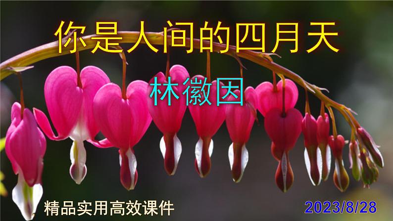 九上语文第5课《你是人家的四月天》精品实用高效课件01