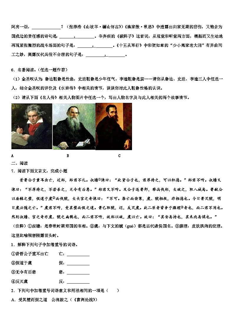 2022-2023学年福建省莆田市涵江区达标名校中考语文适应性模拟试题含解析02