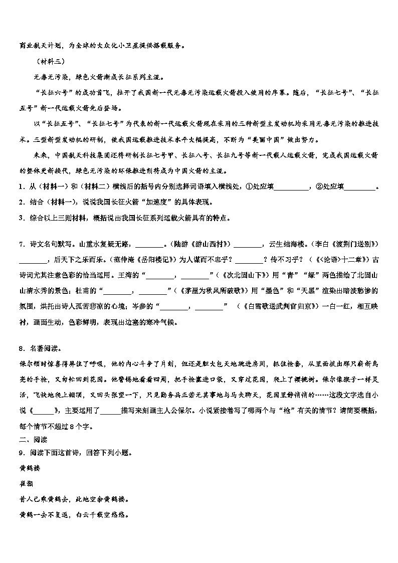 2022-2023学年福建省泉州德化县联考中考语文模拟试题含解析03