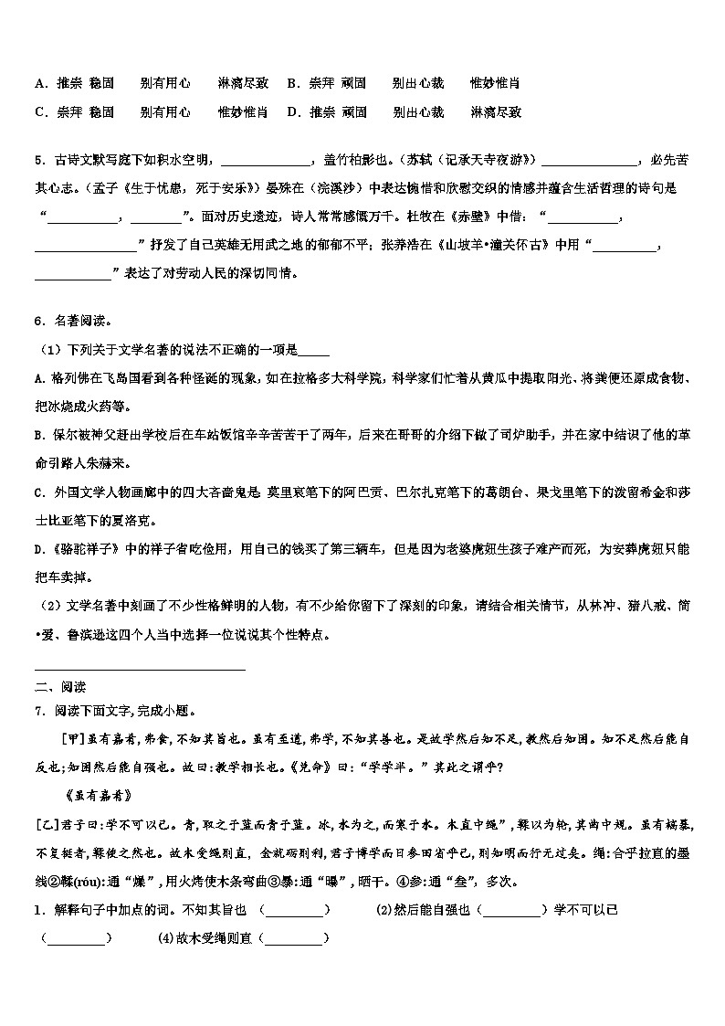 2022-2023学年广东省河源市名校中考语文对点突破模拟试卷含解析02