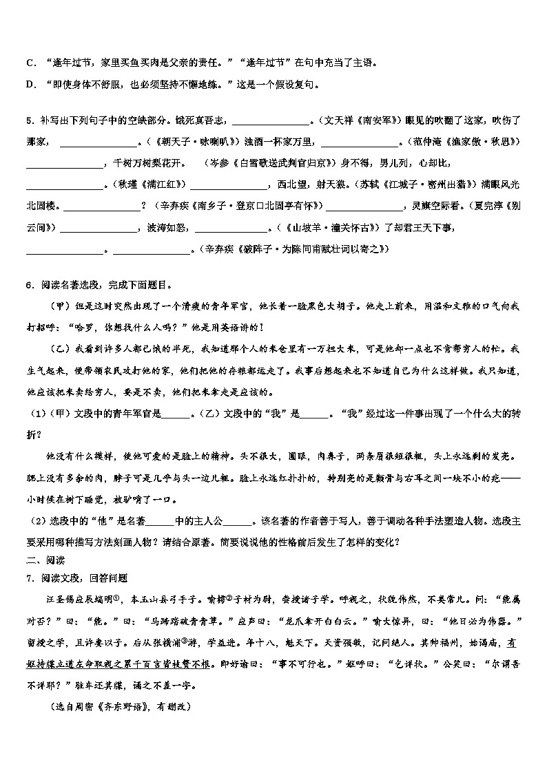 2022-2023学年福建省泉州市洛江区北片区毕业升学考试模拟卷语文卷含解析第2页