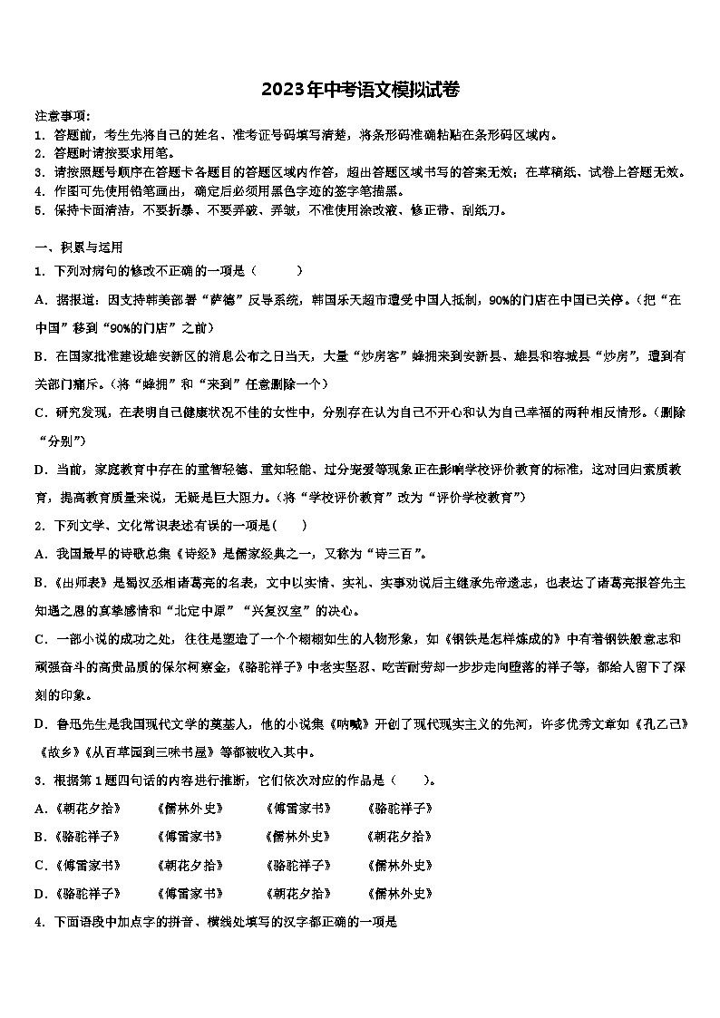2022-2023学年安徽省阜阳市名校中考语文对点突破模拟试卷含解析01