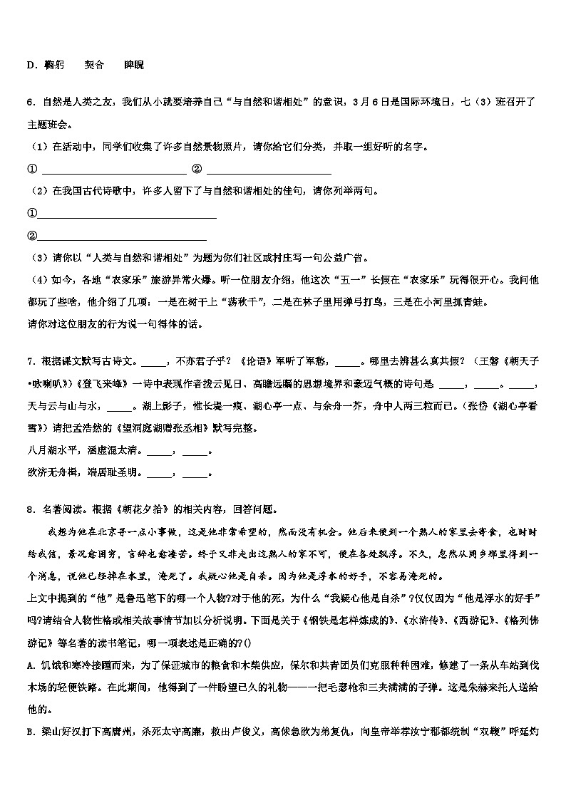 2022-2023学年安徽省合肥市45中学中考语文模拟试题含解析02