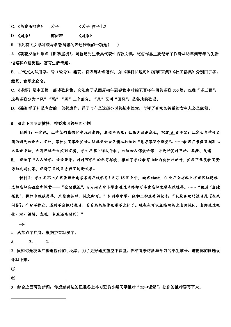 2022-2023学年大石桥市水源二中重点中学中考语文对点突破模拟试卷含解析第2页