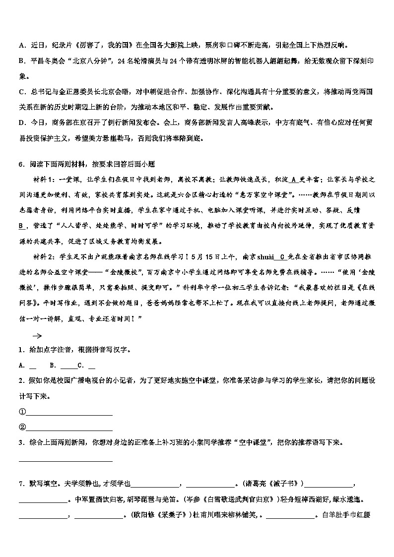 2022-2023学年海南市重点中学中考语文模拟精编试卷含解析02