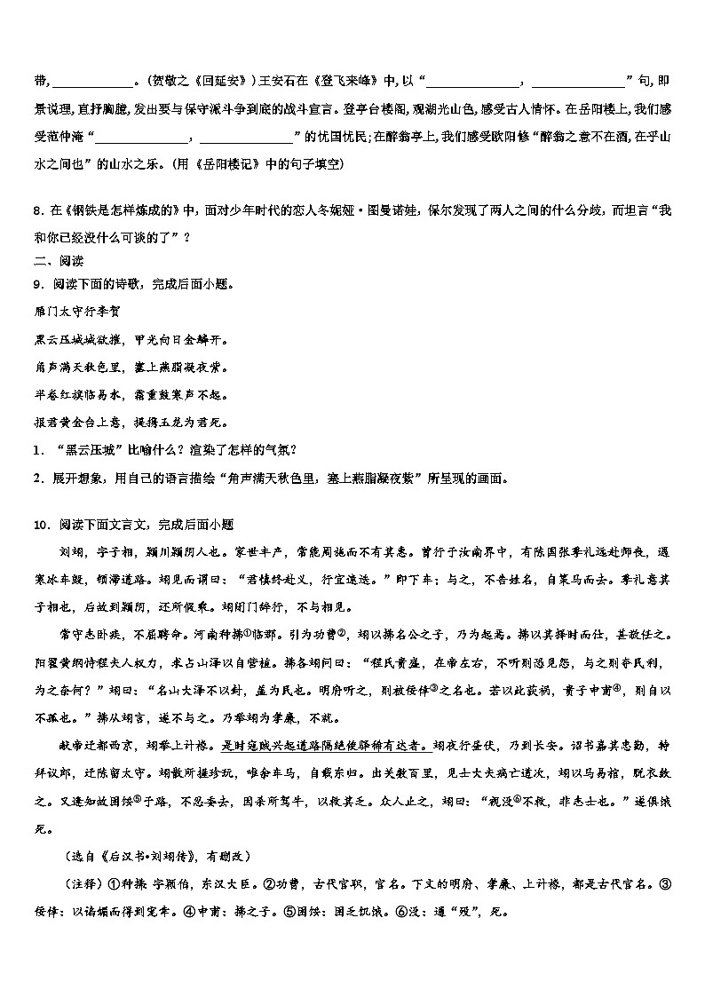 2022-2023学年海南市重点中学中考语文模拟精编试卷含解析03