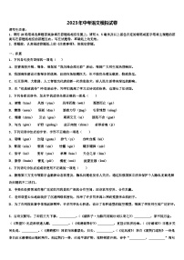 2022-2023学年合肥市包河中考语文适应性模拟试题含解析