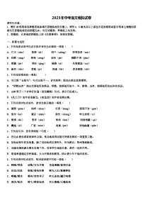 2022-2023学年河南省洛阳市偃师县达标名校中考适应性考试语文试题含解析