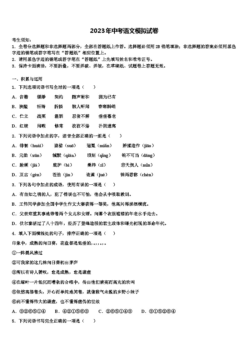 2022-2023学年湖北省丰溪镇中学中考语文对点突破模拟试卷含解析01
