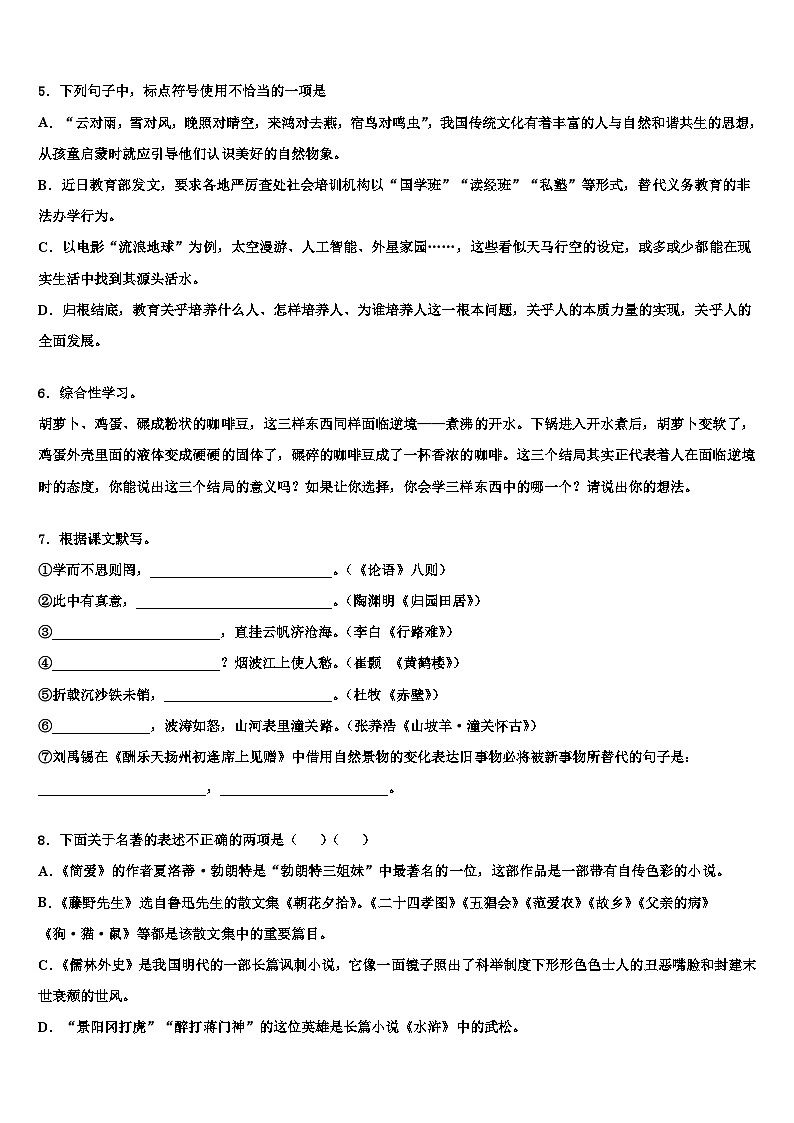 2022-2023学年湖南省邵阳市北塔区中考冲刺卷语文试题含解析第2页