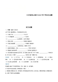 江苏省连云港市2020年中考语文试题（含解析）