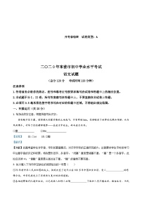 山东省东营市2020年中考语文试题（含解析）