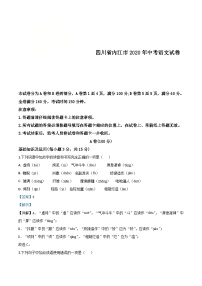 四川省内江市2020年中考语文试题（含解析）