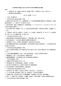 山东省泰安市泰山区2022-2023学年七年级下学期期末语文试题