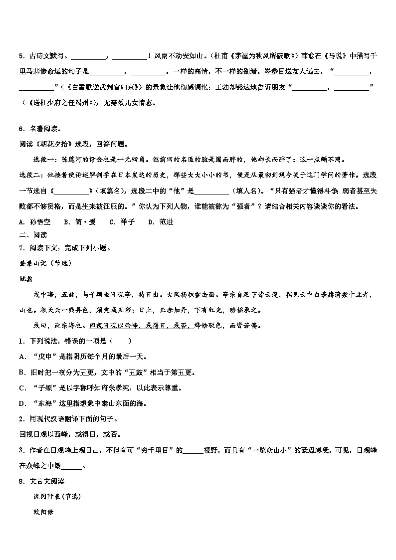 2022-2023学年江西省赣州市兴国县初中语文毕业考试模拟冲刺卷含解析第2页