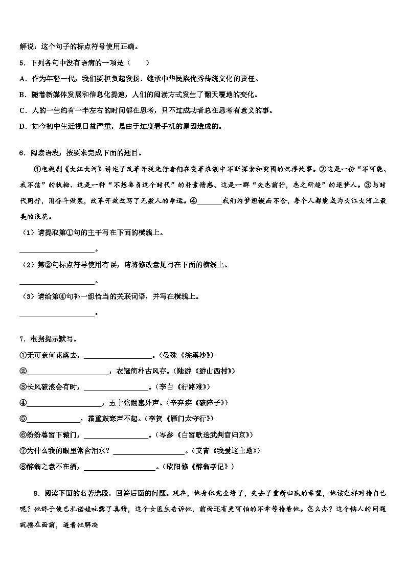 2022-2023学年辽宁省沈阳市实验北中考语文押题卷含解析02
