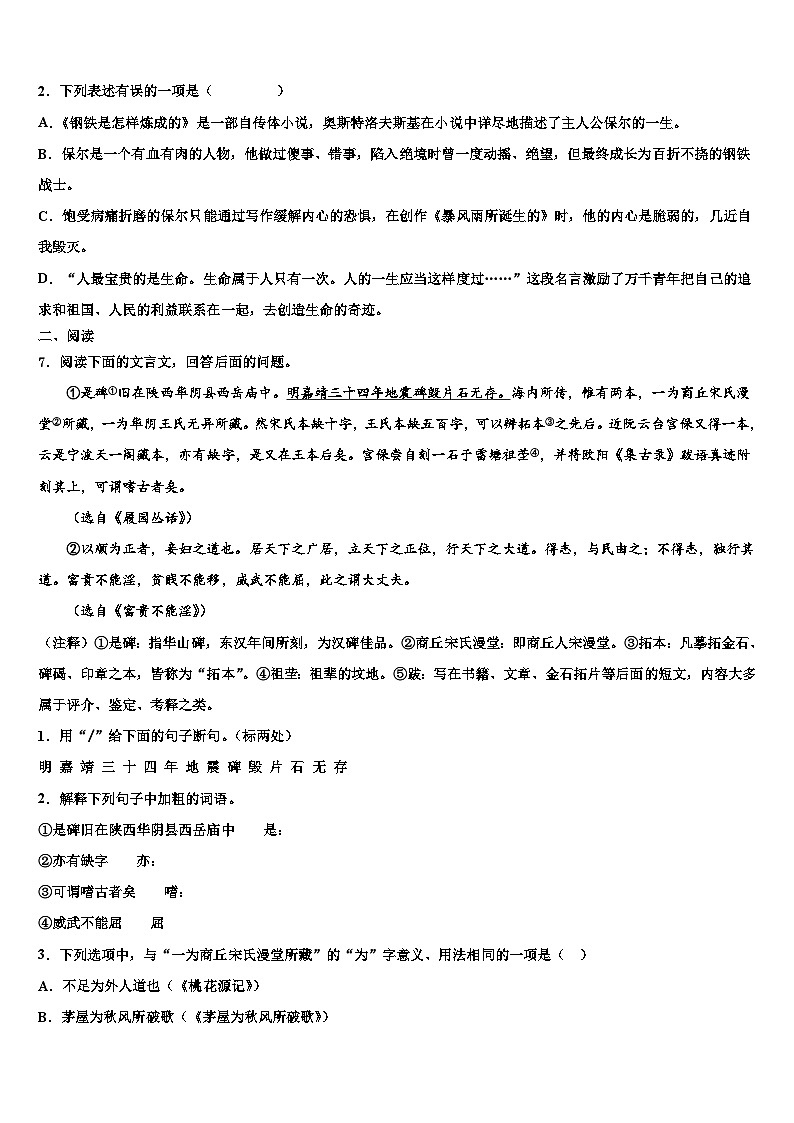 2022-2023学年山东省青岛市西海岸新区四中学中考猜题语文试卷含解析03