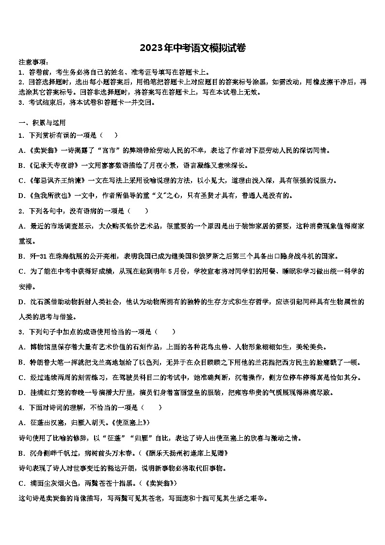 2022-2023学年山东省威海市乳山市重点达标名校毕业升学考试模拟卷语文卷含解析01