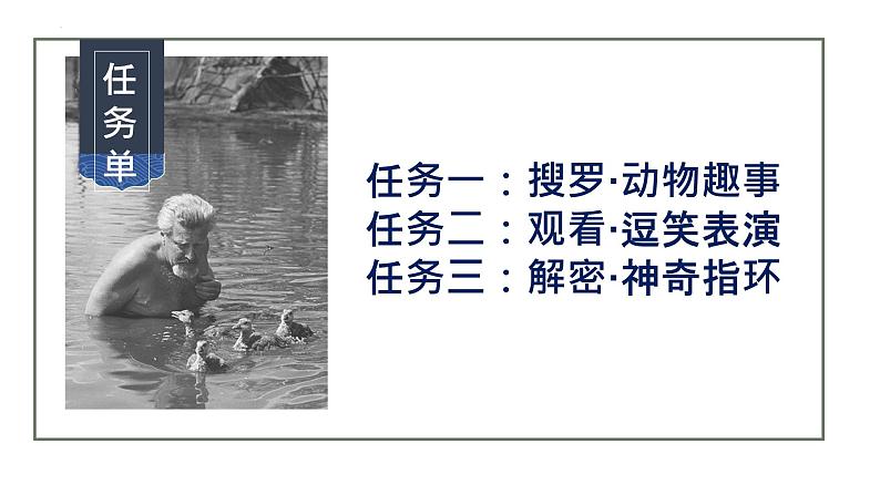 第17课 《动物笑谈》课件04