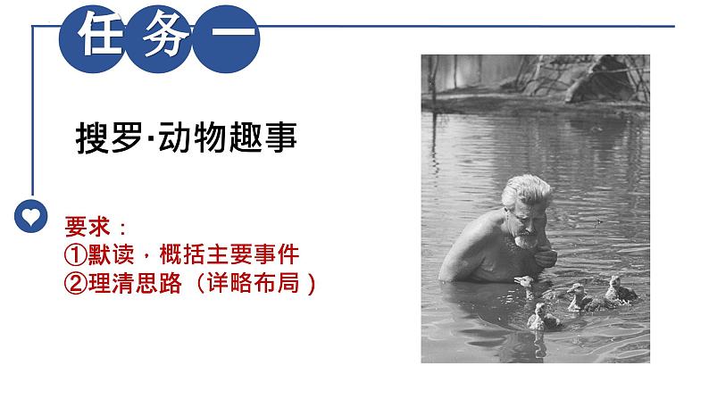 第17课 《动物笑谈》课件05