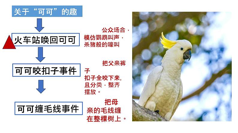 第17课 《动物笑谈》课件08